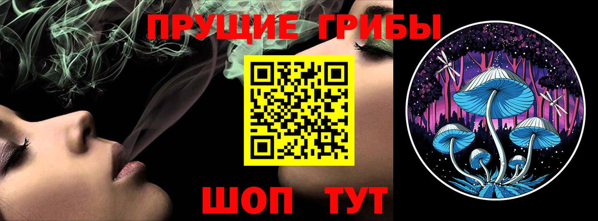 Псилоцибиновые грибы Psilocybe  Вход с VPN  Волжск 